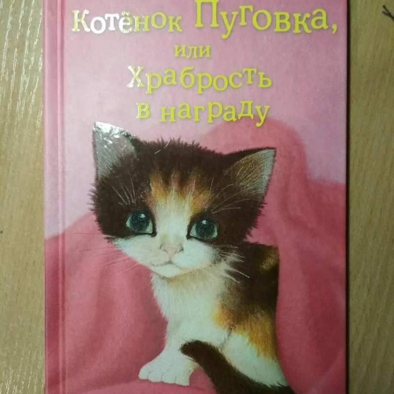 Книга мой котенок. Кошки и котята книга. Котенок книжка для малышей. Книга мой котенок. Книга мой котенок.
