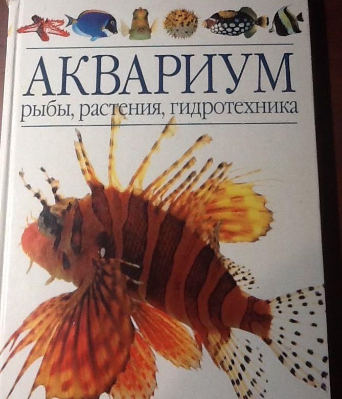 Книги про рыб. Книга про аквариумных рыбок. Аквариум книга. Аквариум и рыба,книга.