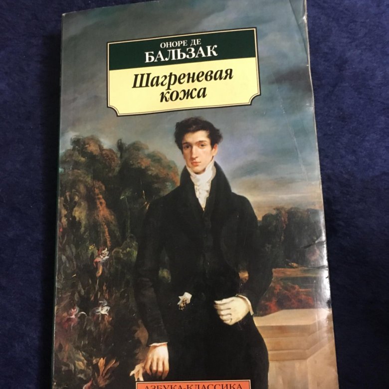 Бальзак шагреневая кожа презентация 10 класс