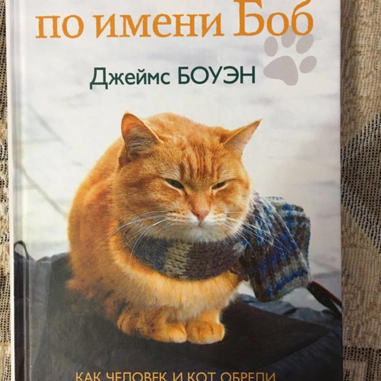 Кот боб книга