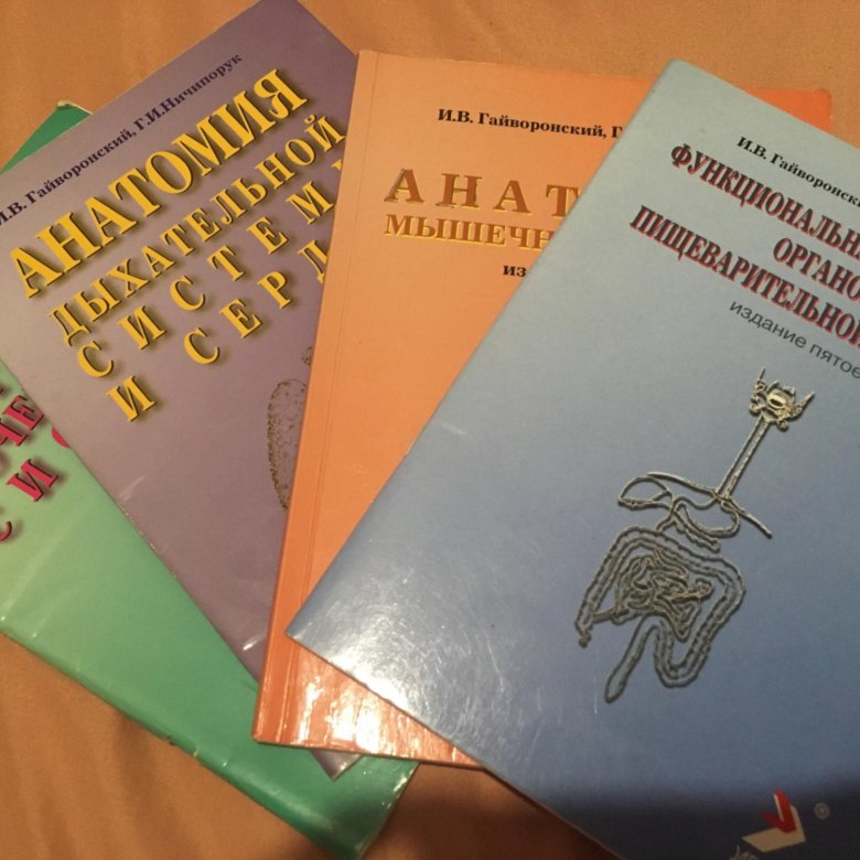 Гайворонский учебник. Гайворонский методичка. Методички Гайворонского по анатомии. Методичка Гайворонского ангиология. Ufqdjheycrbq.