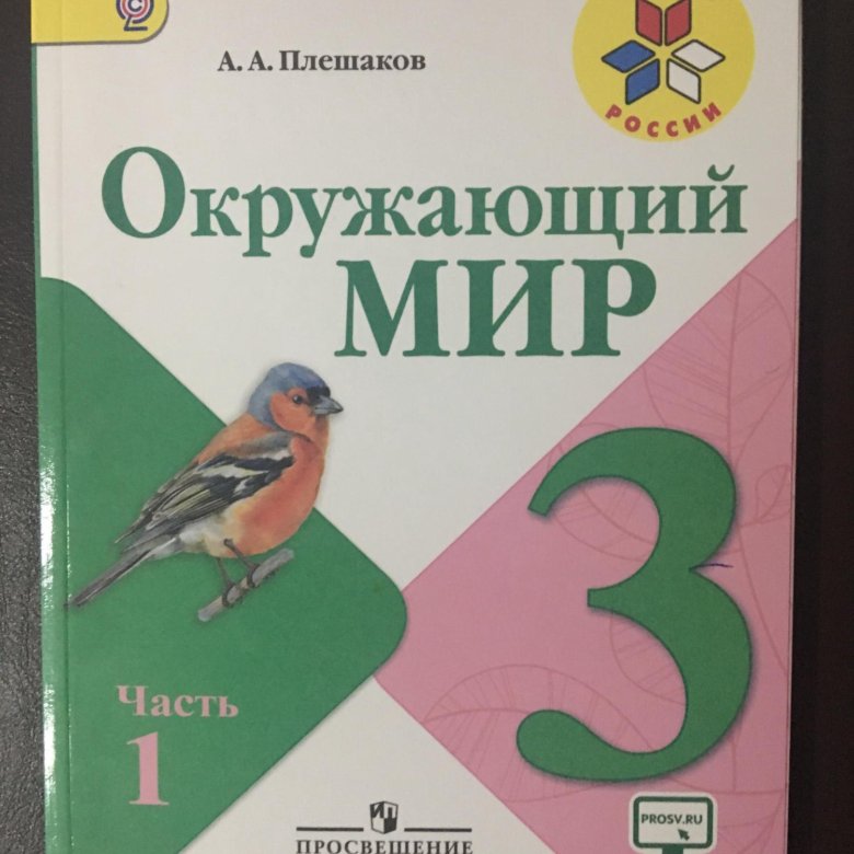 Окружающий мир 3 класс учебник картинки