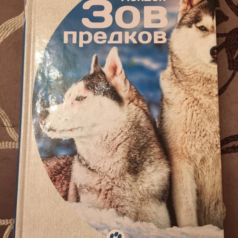 Презентация джек лондон зов предков