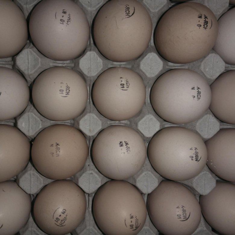 Авито яйцо бройлера. Инкубационное яйцо Кобб 500. Маркировка инкубационного яйца Росс 308. Es-1 7056 инкубационное яйцо бройлеров маркировка. Hub1007011 маркировка инкубационного яйца.