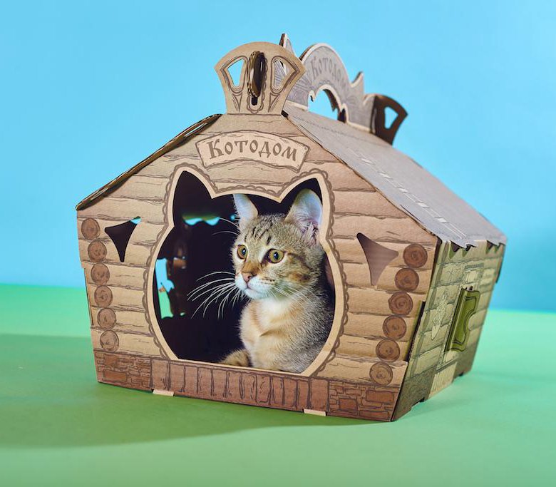 Сказка дом кота. Кошачий домик. Домик для кошки из картона. Сказочный домик для кошки. Котодом домики для кошек.
