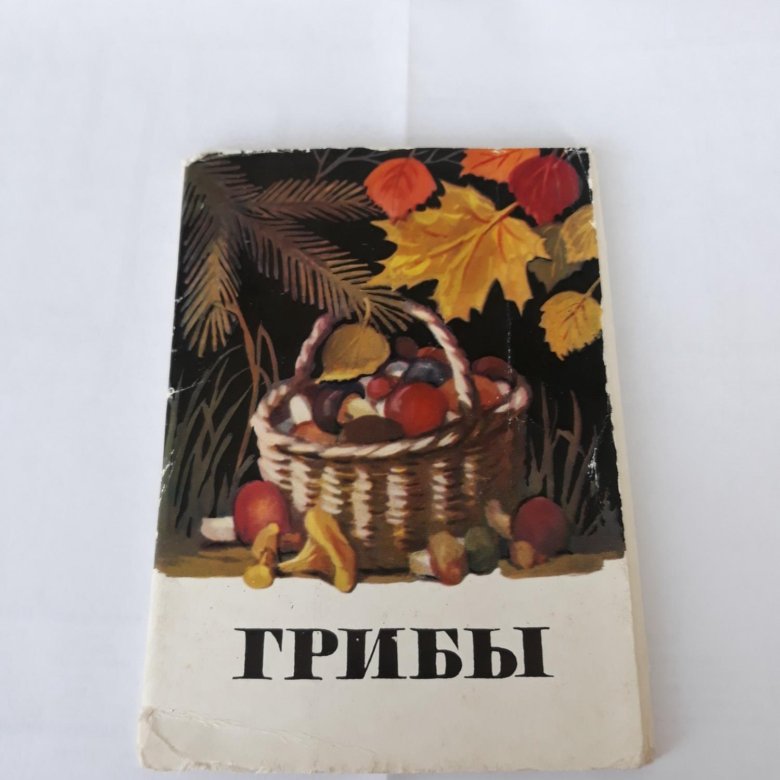 Днем, грибы набор открыток