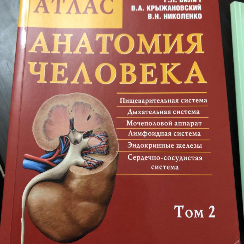 Билич крыжановский анатомия. Билич Крыжановский анатомия 1 том. Анатомия человека атлас том 1 Крыжановский. Анатомия человека Билич Крыжановский. Атлас по анатомии Билич Крыжановский 1 том.