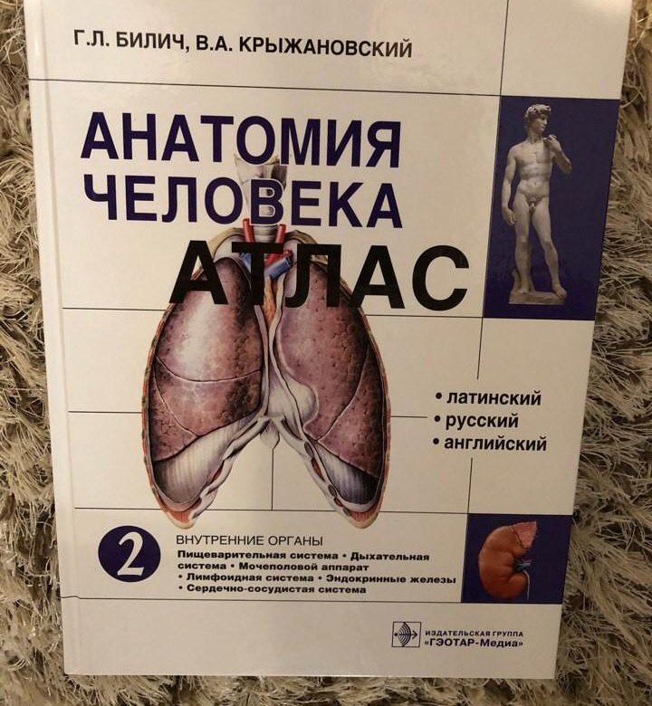 Тома анатомия. Атлас анатомии Билич том 2. Г Л Билич анатомия человека. Атлас анатомии Билич. Атлас анатомия человека г л Билич.