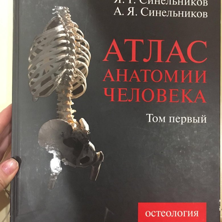 Атлас синельникова анатомия 2 том. Атлас анатомии человека Синельников том 4. Анатомия Синельников неврология. Атлас анатомии человека Синельников 2018. Атлас анатомии Синельников 1971.