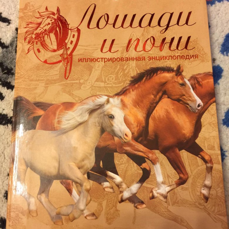 Купить книгу лошади. Книги про лошадей Художественные. Мама лошадь книга. Конь рыжий книга. Книга лошади иллюстрированный гид.