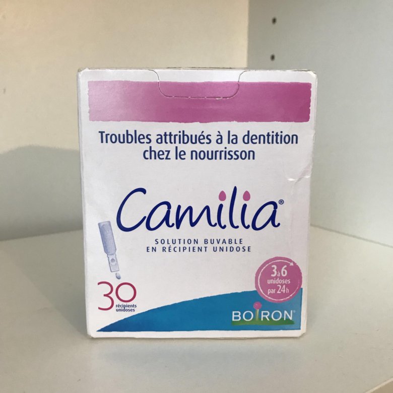 Camilia