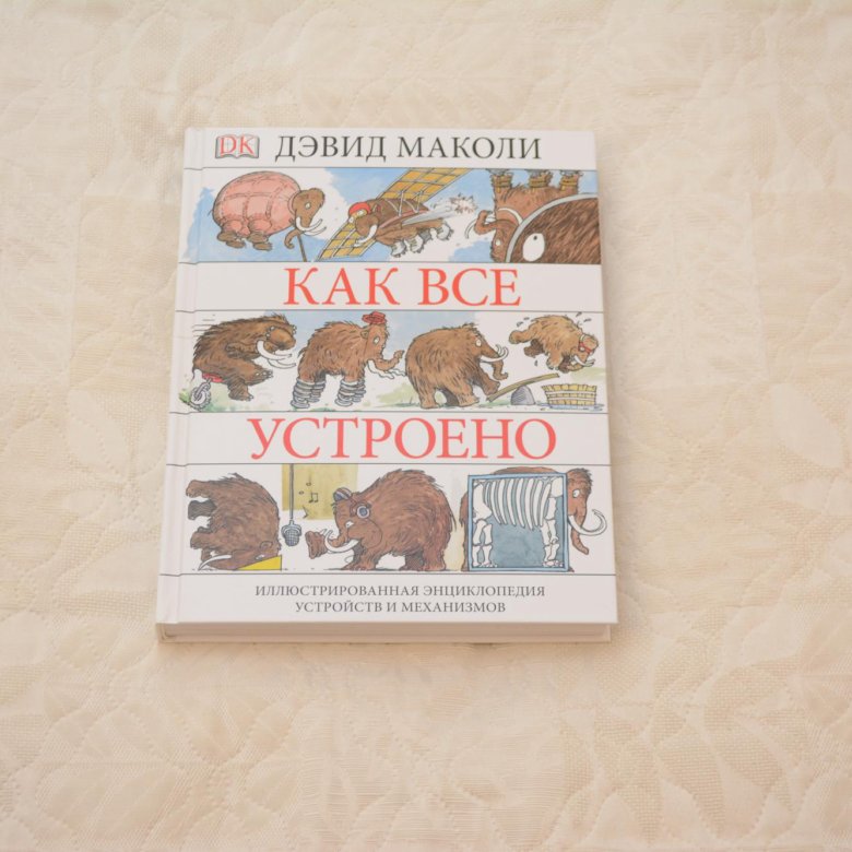 Эндрю маколи. Как все устроено Дэвид Маколи. Как всё устроено сегодня Дэвид Маколи. Как мы устроены Дэвид Маколи.