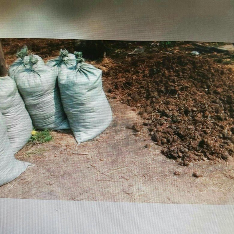 Удобрения коровий навоз. Перегной крс. Удобрения коровий навоз. Торф в мешках. Куриный перегной.