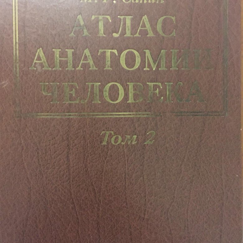 Сапин анатомия 2 том читать. Анатомия человека Сапин 1,2 том. Анатомия атлас Сапин. Сапин атлас 2 том. Атлас анатомии человека Сапин 1 том.