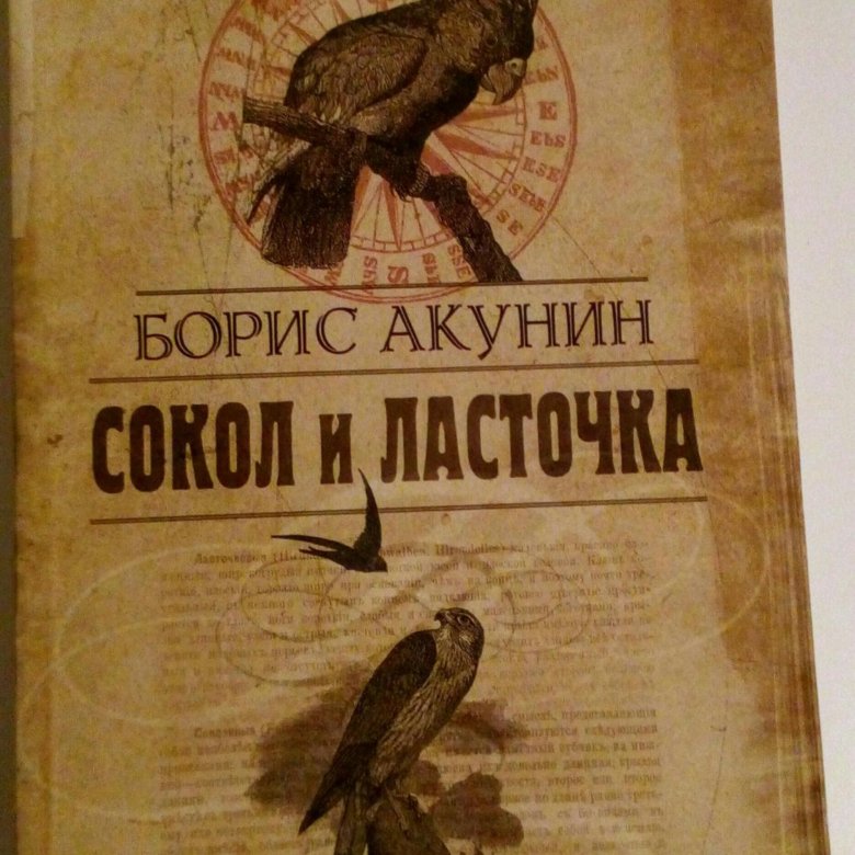 Черный сокол читать. Акунин Сокол и Ласточка. Сокол и ворон книга обложка.