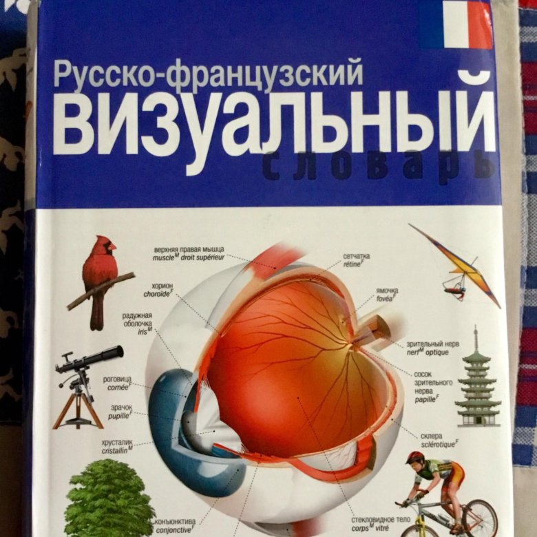 Французско русский визуальный словарь. Русско французский визуальный словарь. English Russian Visual Dictionary купить.