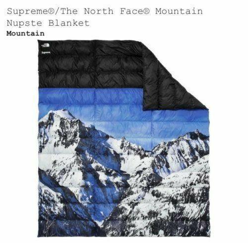 supreme x the north face snow mountain