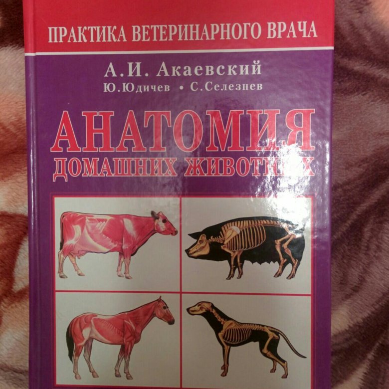 Атлас ветеринария. Акаевский анатомия домашних животных. Атлас анатомии домашних животных. Атлас анатомии сельскохозяйственных животных. Анатомия домашних животных Юдичев.