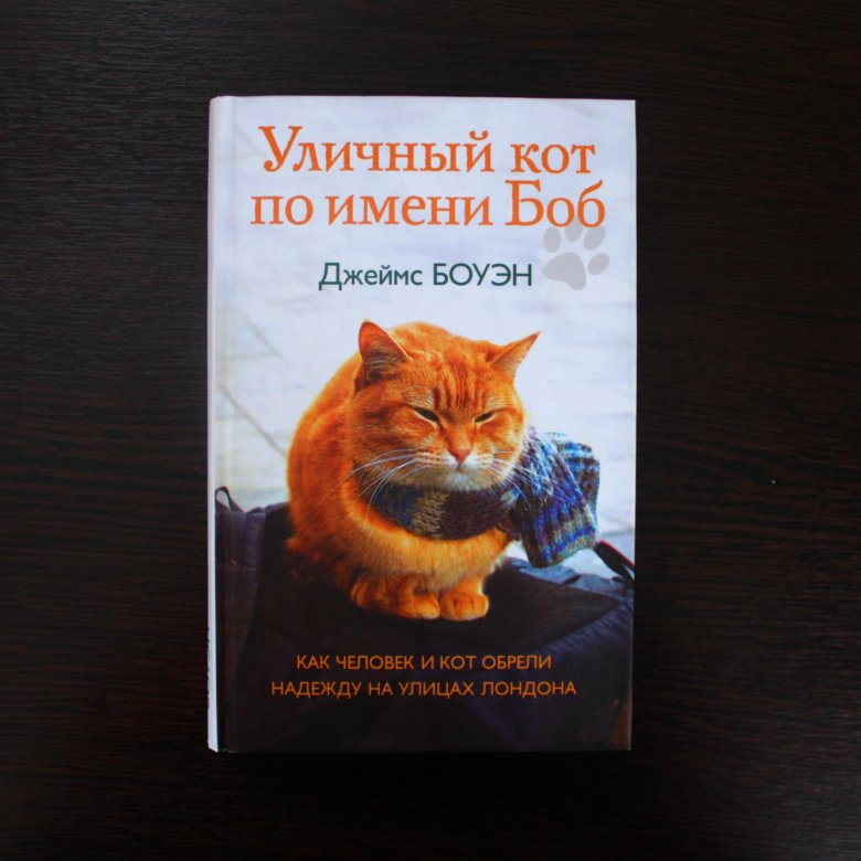 кот боб и джеймс боуэн. уличный кот по имени боб 2. джеймс боуэн. уличный кот по имени боб 2. уличный кот по кличке боб памятник.