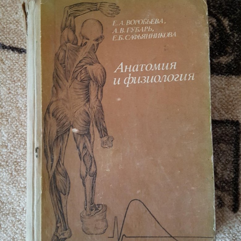 Учебник по анатомии. Старые учебники по анатомии. Старые книги по анатомии. Советский учебник по анатомии.