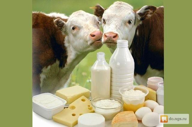 ÐÐ°ÑÑÐ¸Ð½ÐºÐ¸ Ð¿Ð¾ Ð·Ð°Ð¿ÑÐ¾ÑÑ Ð¼Ð¾Ð»Ð¾ÑÐ½Ð°Ñ Ð¿ÑÐ¾Ð´ÑÐºÑÐ¸Ñ