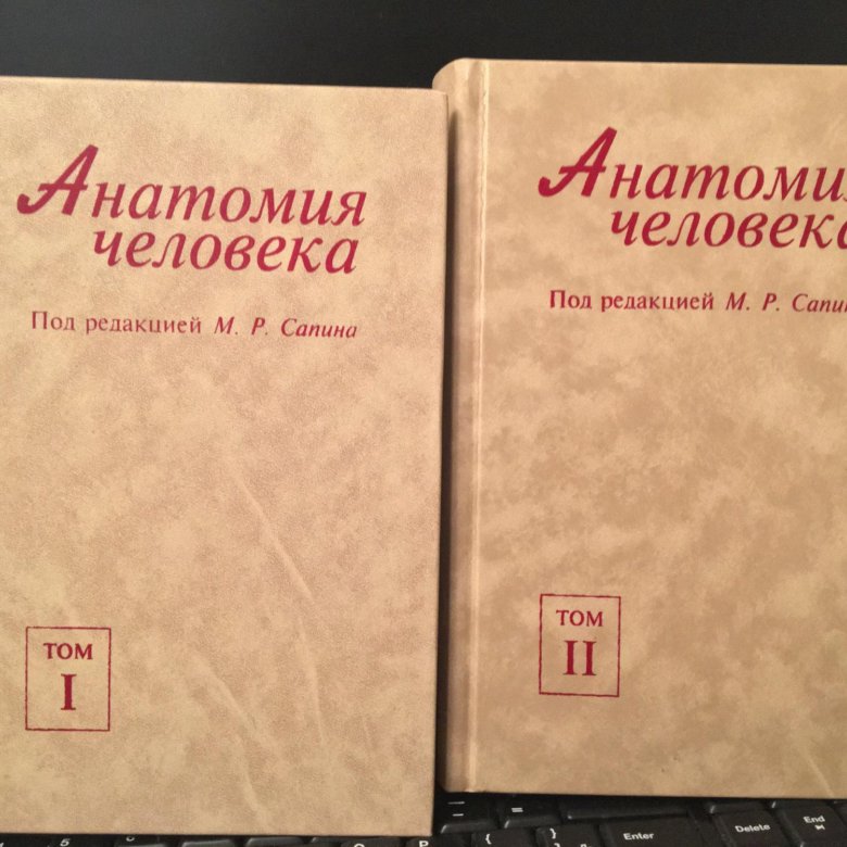 Сапин анатомия 2020. Анатомия человека Сапин 1,2 том. Анатомия человека Сапин 2 том. Учебник Сапина по анатомии. Сапин анатомия человека.