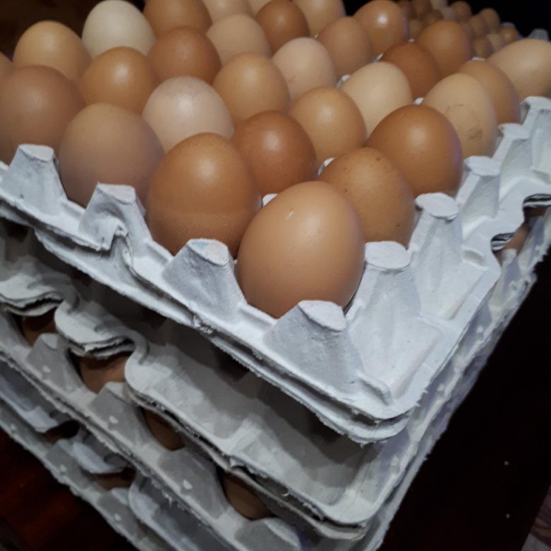 Продажа Яиц В Магазине