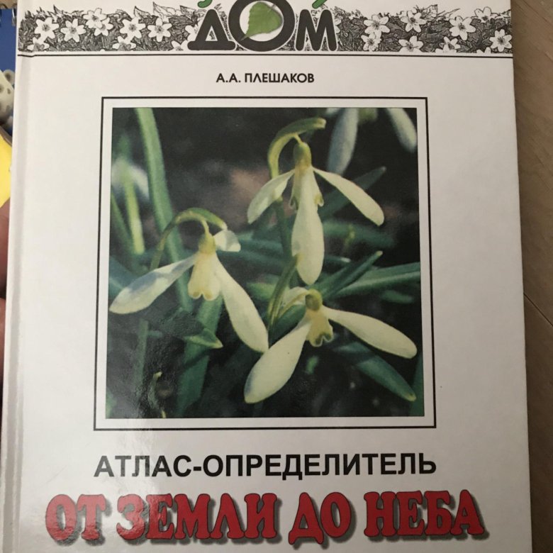 Атлас определитель 1 класс. Атлас определитель. Атлас-определитель от земли до неба 4. Атлас определитель от земли до неба 4 класс. Атлас-определитель для младших классов 4 класс.