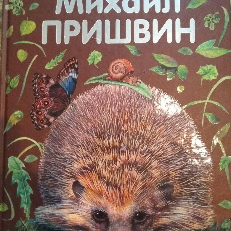 Сказки о природе. Ёж Михаил пришвин книга. Михаил пришвин еж. Пришвин еж книга. Михаил пришвин рассказ еж.