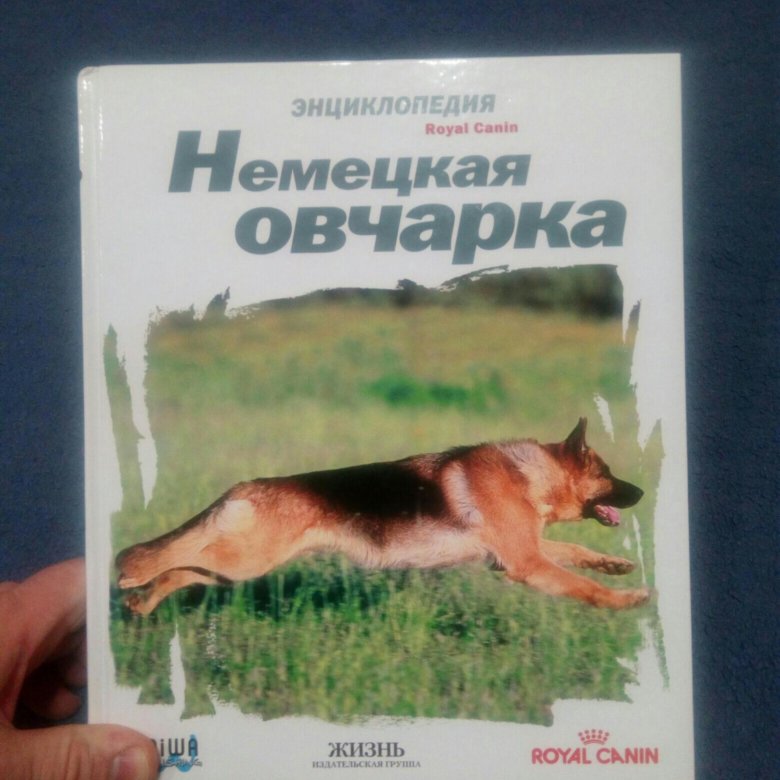 ВСЕ О ДРЕССИРОВКЕ НЕМЕЦКОЙ ОВЧАРКИ КНИГА СКАЧАТЬ БЕСПЛАТНО ВСЕ О ДРЕССИРОВКЕ НЕМЕЦКОЙ ОВЧАРКИ КНИГА СКАЧАТЬ БЕСПЛАТНО