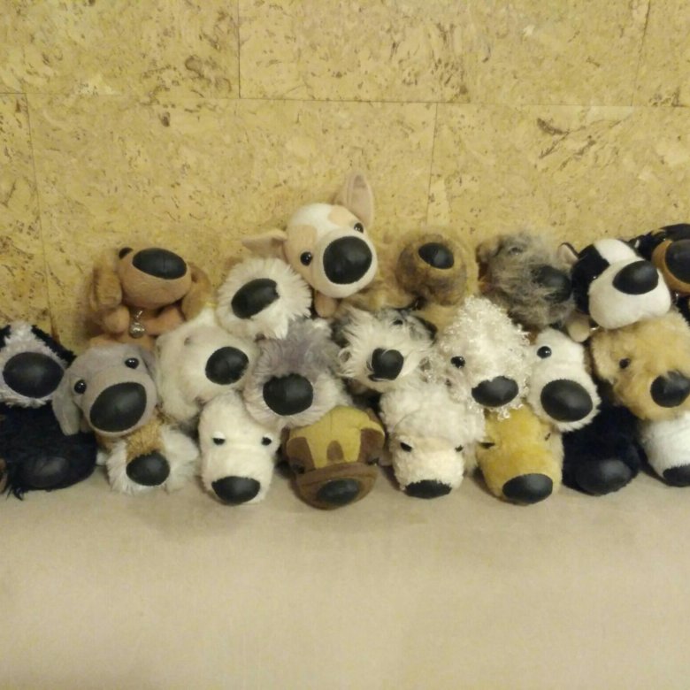 Плюшевые собачки the dog collection. Плюшевые собачки the dog collection. The dog collection шнауцер. Коллекция собачек в будках с карточками и драже the dog collection. Игрушки the dog collection.