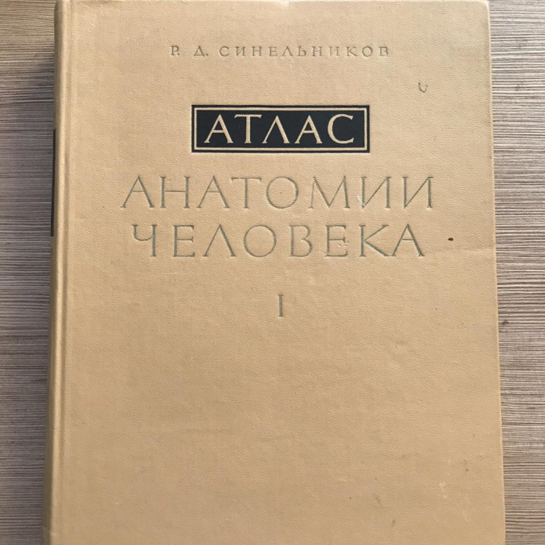 Анатомия синельникова 1 том. Атлас анатомии человека Синельников том 4. Анатомия 4 Тома. Р Д Синельников. Книга 3 том анатомия Синельникова.