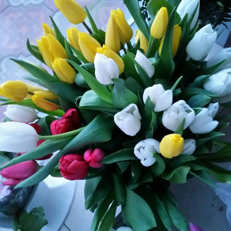 цветы в марте какие продают