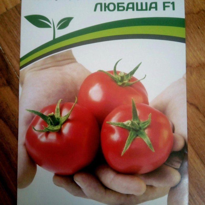 Сорт томатов любаша отзывы фото урожайность