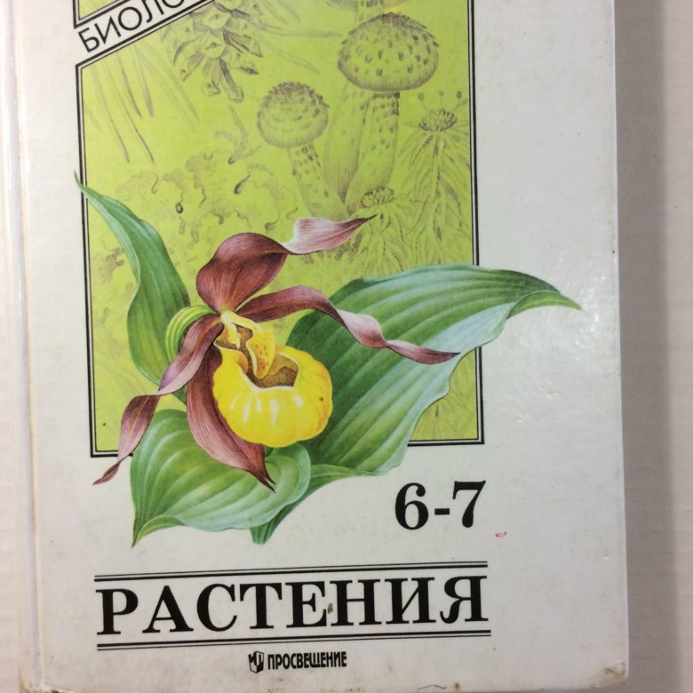 Учебник биология 6 класс растения. Биология растения 6- 7 класс Серебрякова. Учебник ботаника 6 класс Серебрякова. Ботаника с основами фитоценологии. Биология растения книга.