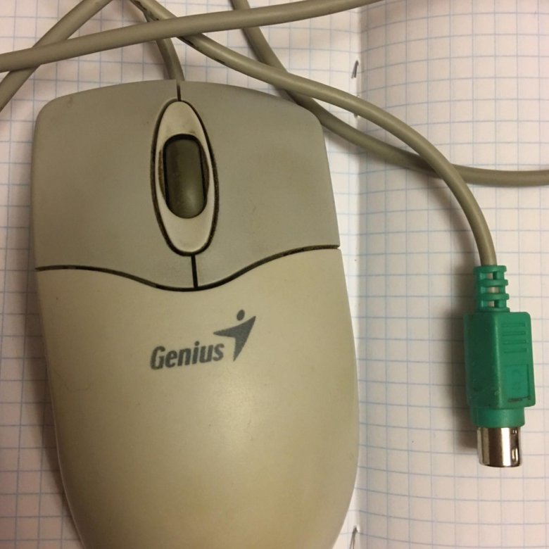 Мышь genius. Genius NETSCROLL 600. Компьютерная мышь Genius 1990. Genius NETSCROLL Старая. Мышка гениус 2000х.