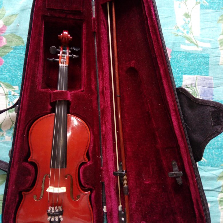 Коллекция скрипачей. Скрипка кремона 4/4. Скрипка купить бу. Gliga скрипка. Новая скрипка.