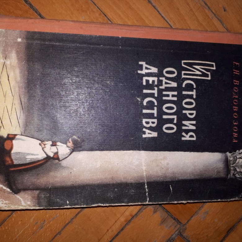 Водовозов история одного детства. Е Н Водовозова история одного детства. История одного детства Водовозова. Книга история одного детства.