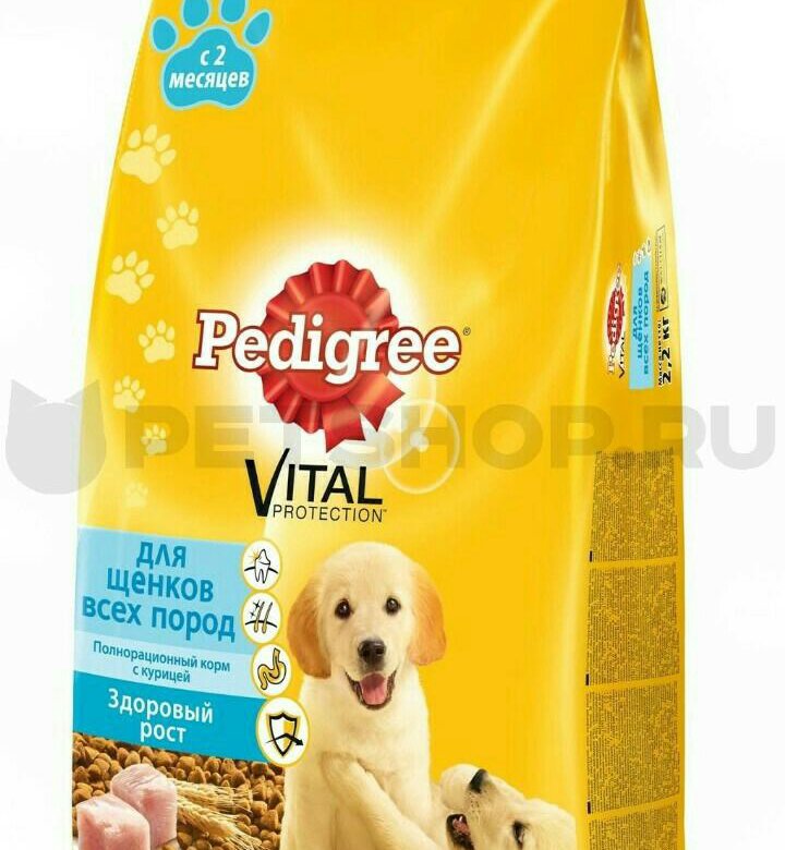 Корм для щенков pedigree курица 2.2 кг. Педигри для кошек. Педигри корм первый прикорм. Педигри для щенков всех пород первый прикорм с курицей.