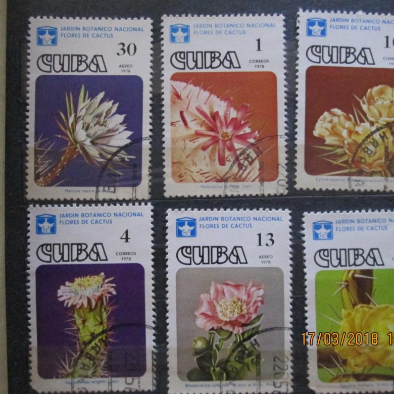 Маркий цвет. Сан марко краска для стен палитра цветов. Jina мохер премиум с люрексом. Ral 7074 цвет. Прокладки марка с цветами.