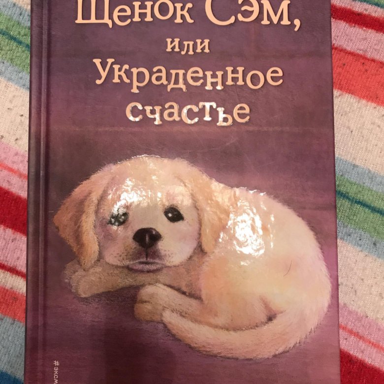 Все книги холли вебб картинки