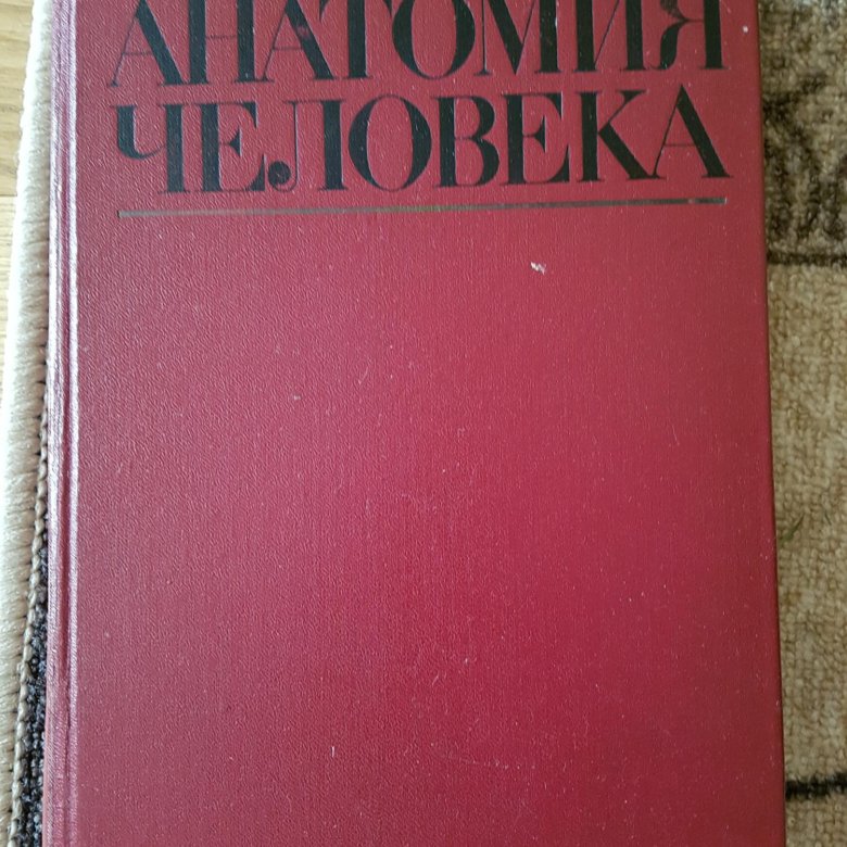 Привес анатомия человека читать. М.Г. привес. Анатомия человека. Учебник по анатомии привес. Привес анатомия человека учебник.