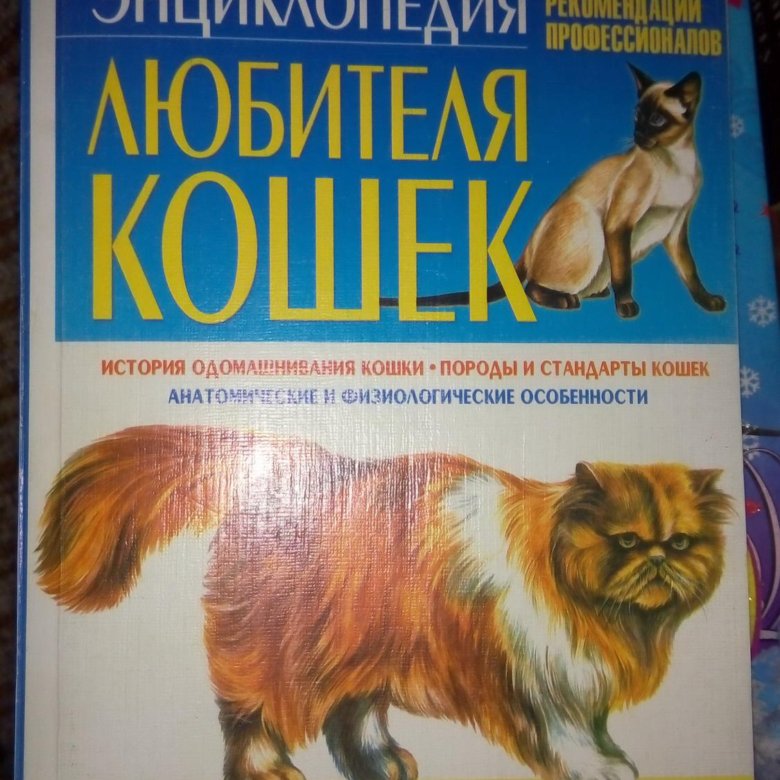 Книги практическая энциклопедия. Книги практическая энциклопедия. Домашний хлеб практическая энциклопедия. Энциклопедия йоги ферштайн. Практическая энциклопедия русской кухни гурман.