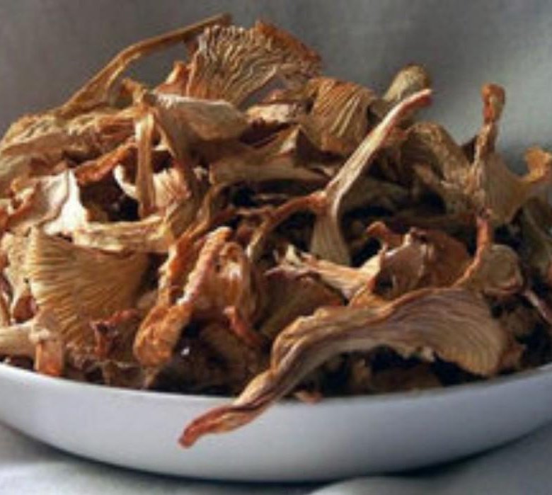 Лисички сушат при температуре. Сушеные грибы лисички. Лисички сушеные. Лисички сушат при температуре. Лисички сублимированные.