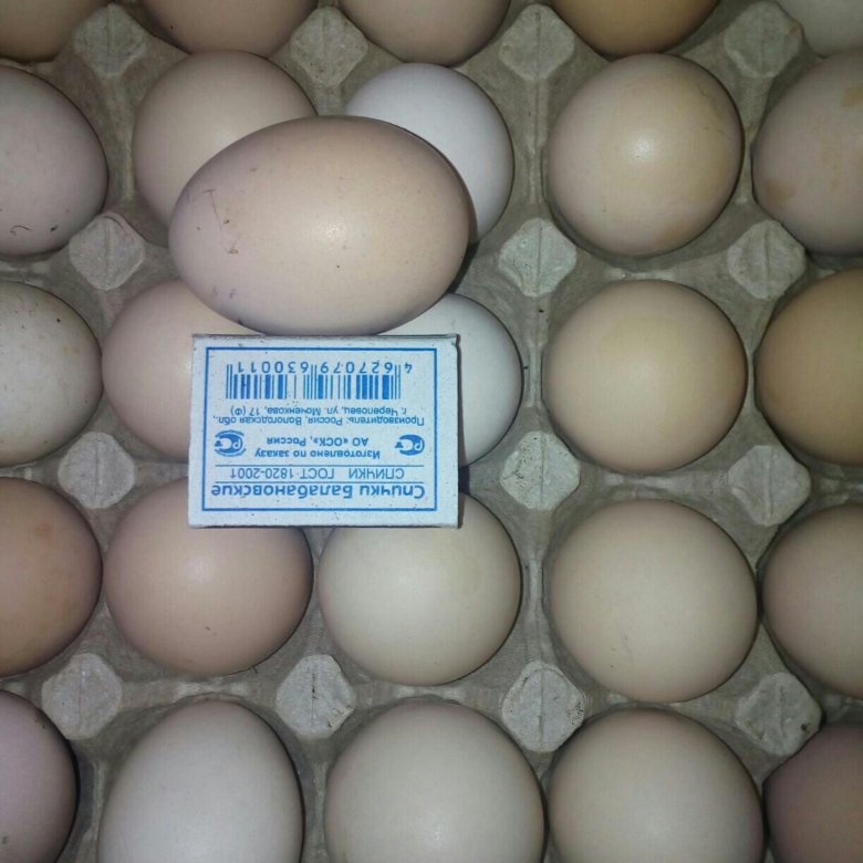 Купить яйца иваново. Яйцо домашнее куриное. Объявление о продаже куриных яиц. Объявление о продаже яиц домашних. Реклама отпродаже домашних яиц.