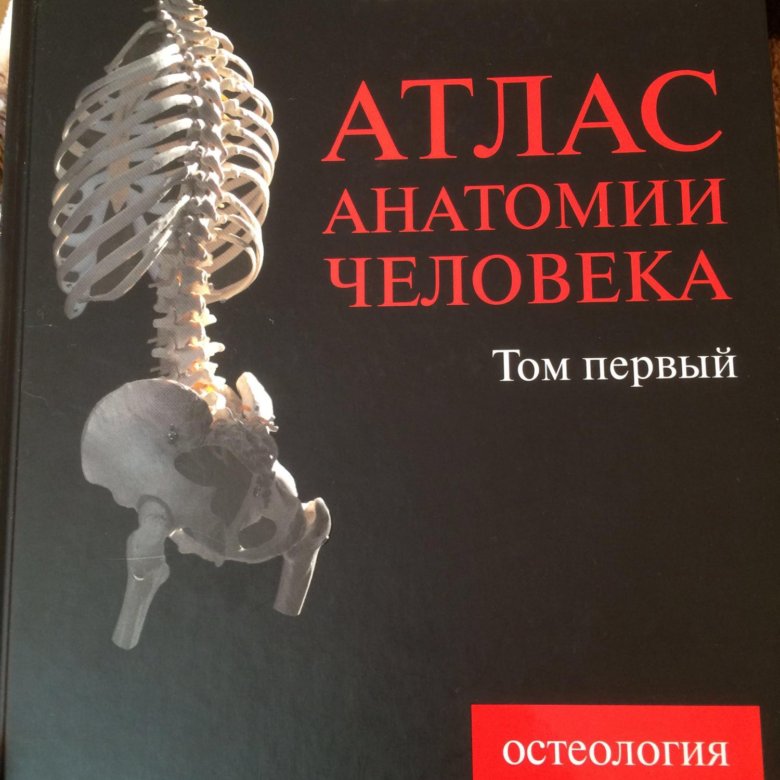 Атлас анатомии человека Синельников 1 том. Синельников атлас. Атлас анатомии Синельников. Атлас Синельникова анатомия.