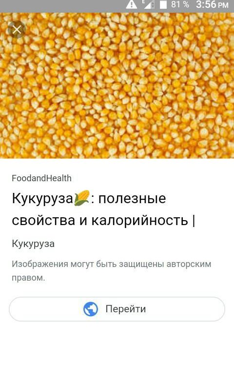 Кукуруза калорийность. Кукуруза калории. Кукуруза калорийность 1 початок. Варёная кукуруза калорийность. Калорийность кукурузы вареной.