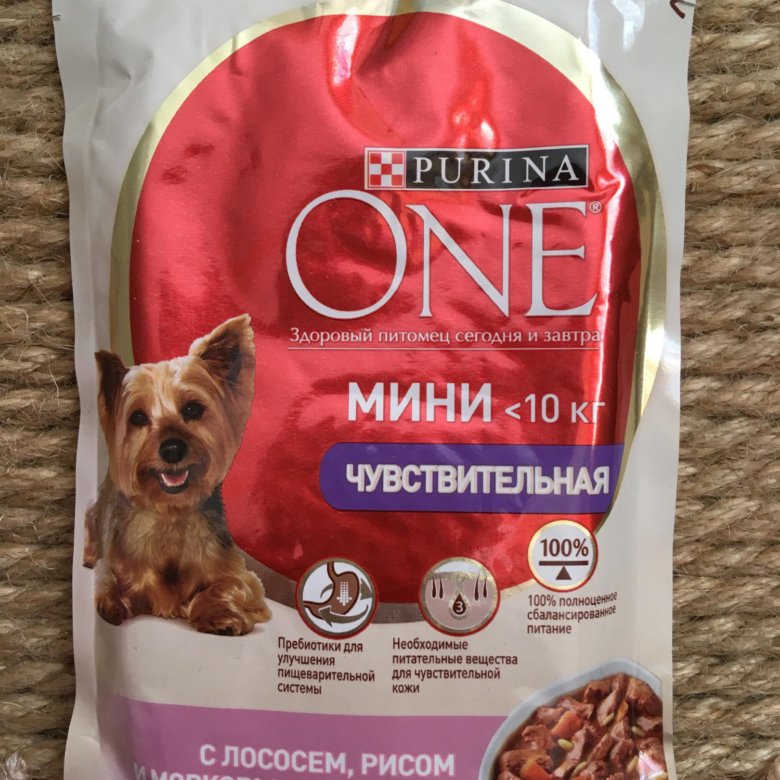 Пурина мини для собак. Пурина собаки пауч корм. Пурина Ван для собак пауч. Purina one для собак влажный корм. Purina one для щенков 3.8.