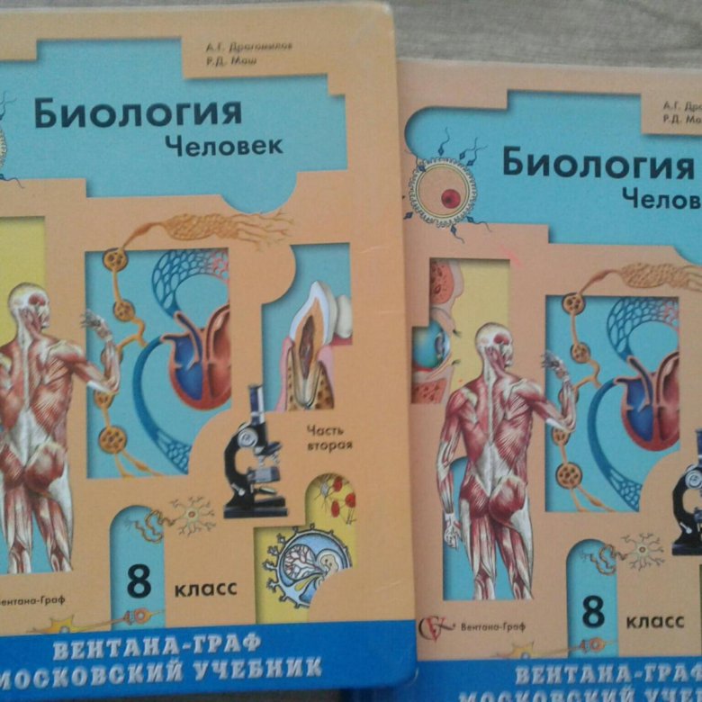 Человек 8 класс. Биология человек 8 класс драгомилов. Человек биология. Биология 8 класс человек. Анатомия 8 класс.