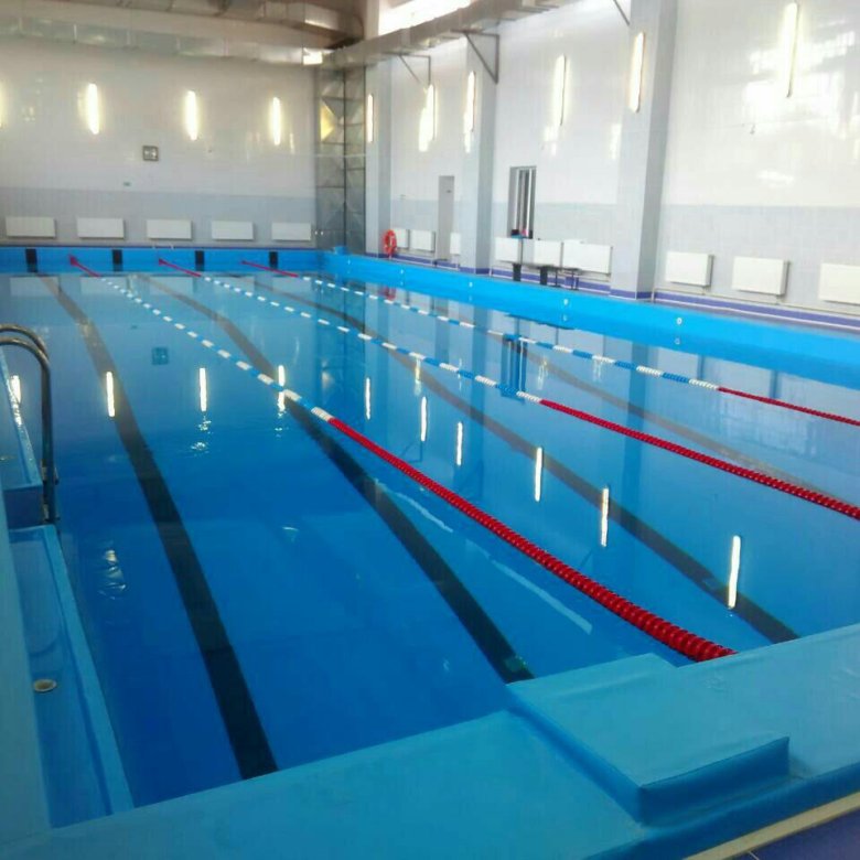 бассейны в чите. бассейн дельфин чита внутри. чита микрорайон северный бассейн. бассейны читы адреса. бассейн дельфин чита.